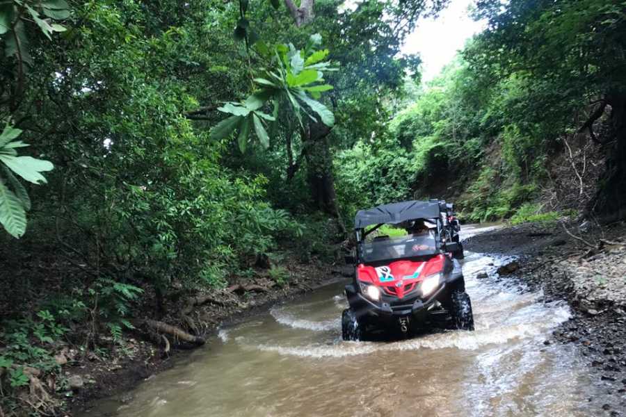 buggy tour jaco costa rica
